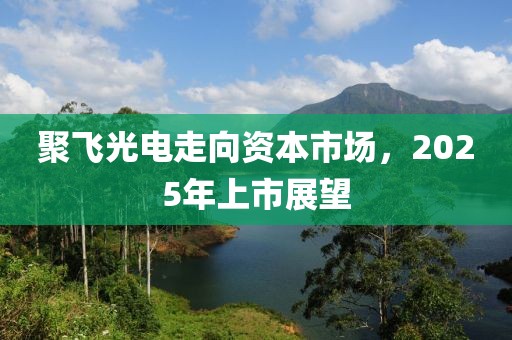 聚飞光电走向资本市场，2025年上市展望