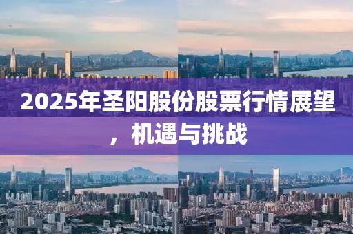 2025年圣阳股份股票行情展望，机遇与挑战