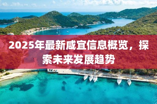 2025年最新咸宜信息概览，探索未来发展趋势