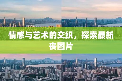 情感与艺术的交织，探索最新丧图片