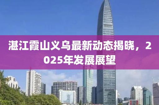 湛江霞山义乌最新动态揭晓，2025年发展展望
