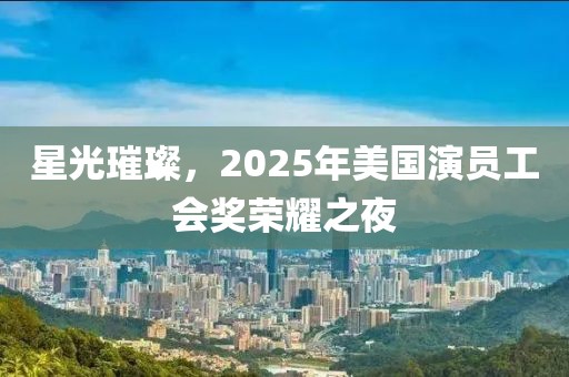 星光璀璨，2025年美国演员工会奖荣耀之夜