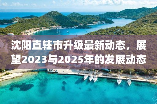 沈阳直辖市升级最新动态，展望2023与2025年的发展动态