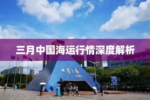 三月中国海运行情深度解析