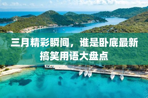 三月精彩瞬间，谁是卧底最新搞笑用语大盘点