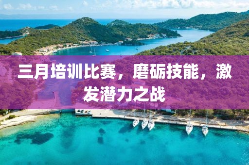 三月培训比赛，磨砺技能，激发潜力之战
