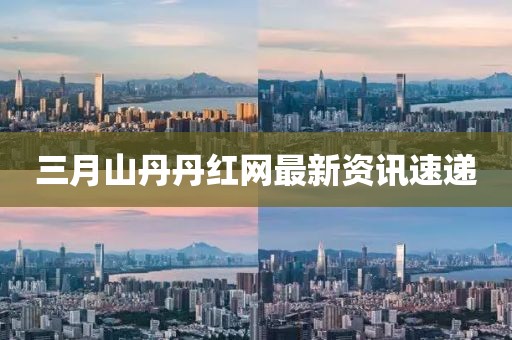 笄发醒 第6页