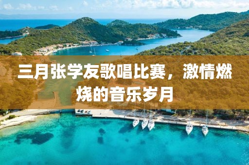 三月张学友歌唱比赛，激情燃烧的音乐岁月