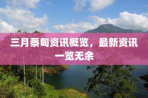 三月蔡甸资讯概览，最新资讯一览无余