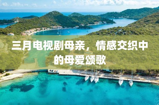 三月电视剧母亲，情感交织中的母爱颂歌