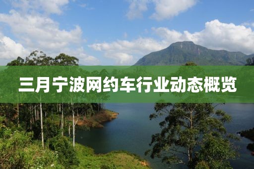 三月宁波网约车行业动态概览