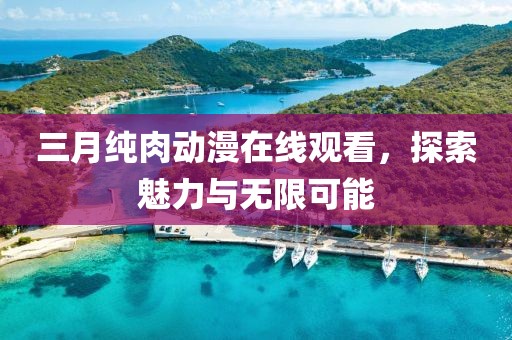 三月纯肉动漫在线观看，探索魅力与无限可能