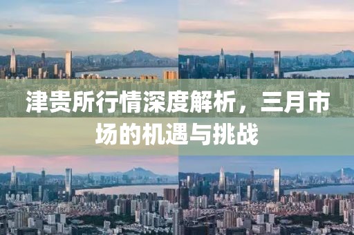 津贵所行情深度解析，三月市场的机遇与挑战