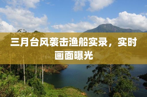 三月台风袭击渔船实录，实时画面曝光