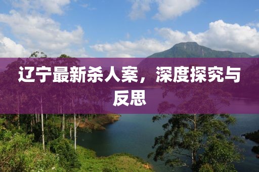 辽宁最新杀人案，深度探究与反思