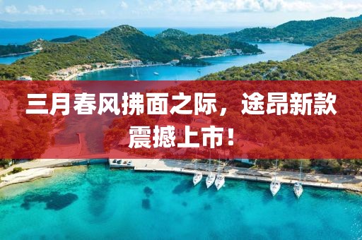 三月春风拂面之际，途昂新款震撼上市！
