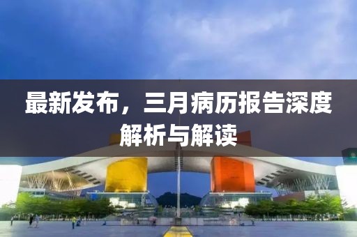 最新发布，三月病历报告深度解析与解读