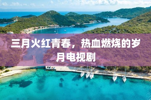 三月火红青春，热血燃烧的岁月电视剧