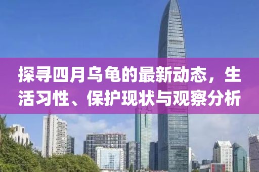 探寻四月乌龟的最新动态，生活习性、保护现状与观察分析