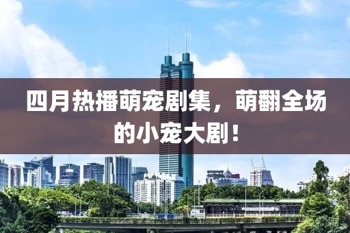 四月热播萌宠剧集，萌翻全场的小宠大剧！