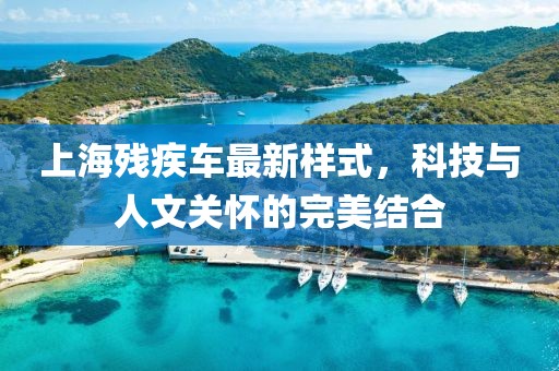 上海残疾车最新样式，科技与人文关怀的完美结合