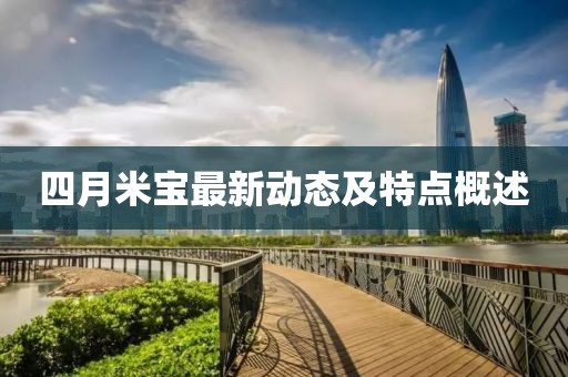 四月米宝最新动态及特点概述