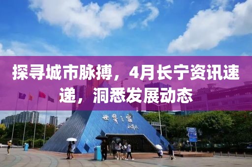 探寻城市脉搏，4月长宁资讯速递，洞悉发展动态