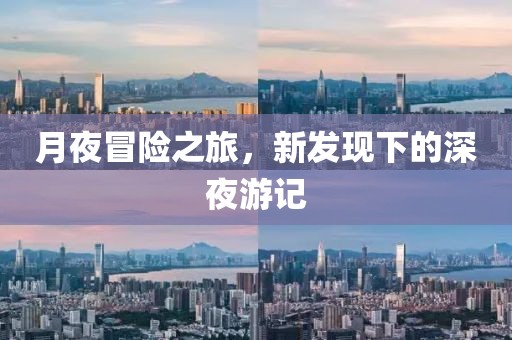 月夜冒险之旅，新发现下的深夜游记