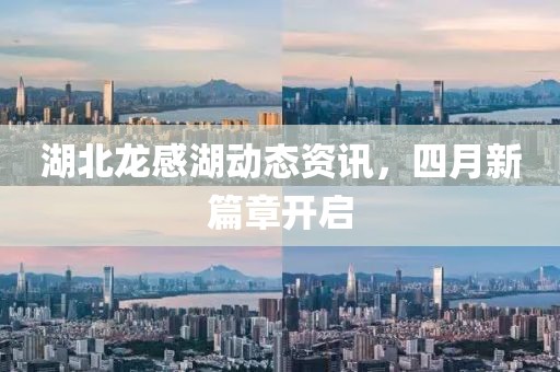 湖北龙感湖动态资讯，四月新篇章开启