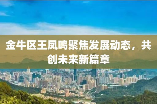金牛区王凤鸣聚焦发展动态，共创未来新篇章