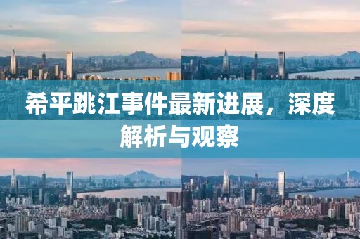 希平跳江事件最新进展，深度解析与观察