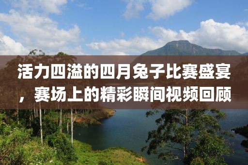 活力四溢的四月兔子比赛盛宴，赛场上的精彩瞬间视频回顾