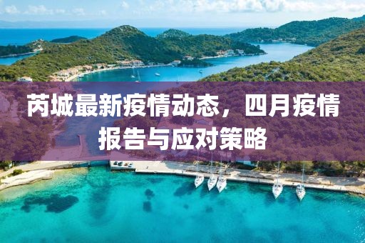 芮城最新疫情动态，四月疫情报告与应对策略