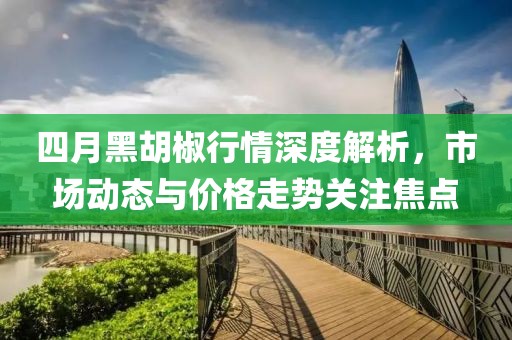四月黑胡椒行情深度解析，市场动态与价格走势关注焦点