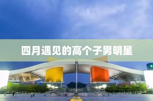 四月遇见的高个子男明星