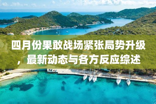 四月份果敢战场紧张局势升级，最新动态与各方反应综述