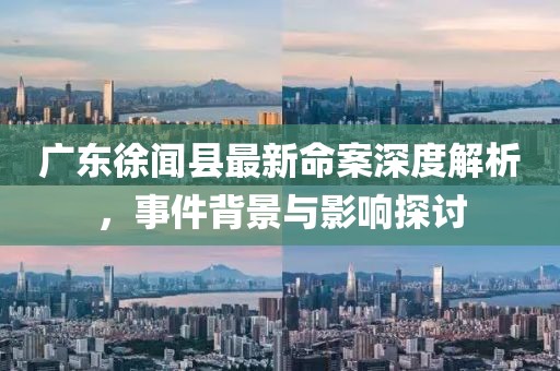 广东徐闻县最新命案深度解析，事件背景与影响探讨