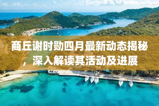 商丘谢时勋四月最新动态揭秘，深入解读其活动及进展
