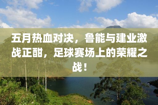 五月热血对决，鲁能与建业激战正酣，足球赛场上的荣耀之战！