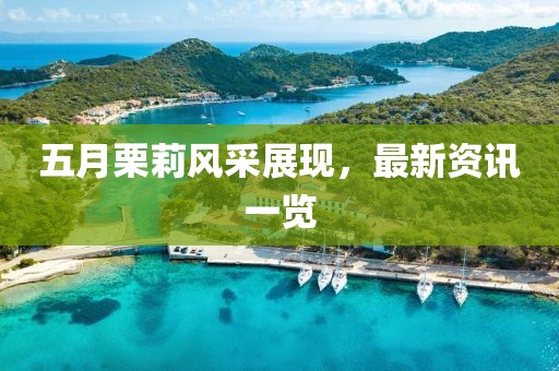 五月栗莉风采展现，最新资讯一览