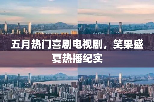 五月热门喜剧电视剧，笑果盛夏热播纪实