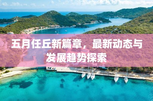 五月任丘新篇章，最新动态与发展趋势探索