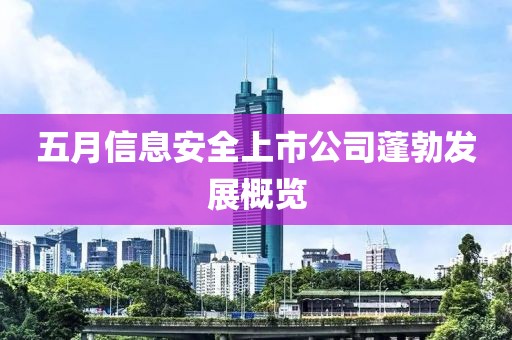 五月信息安全上市公司蓬勃发展概览