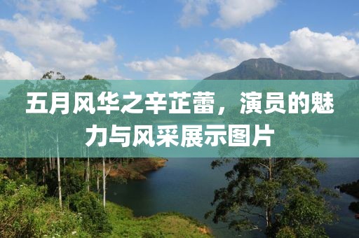 五月风华之辛芷蕾，演员的魅力与风采展示图片