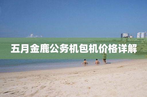 五月金鹿公务机包机价格详解