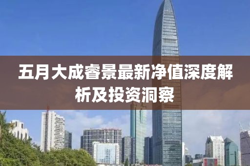 五月大成睿景最新净值深度解析及投资洞察