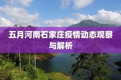 五月河南石家庄疫情动态观察与解析