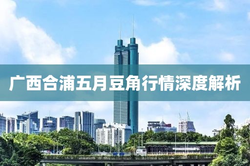 广西合浦五月豆角行情深度解析