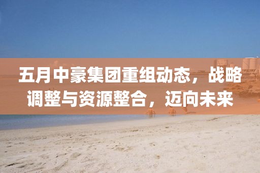 五月中豪集团重组动态，战略调整与资源整合，迈向未来