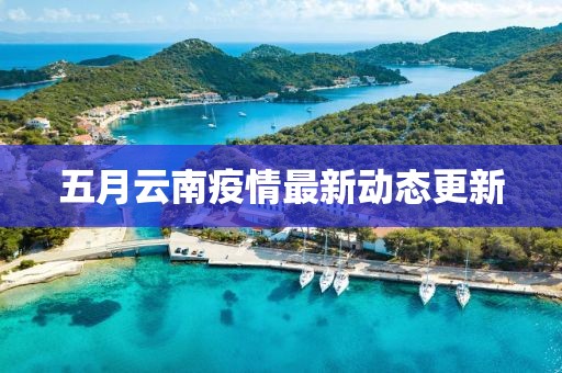 五月云南疫情最新动态更新